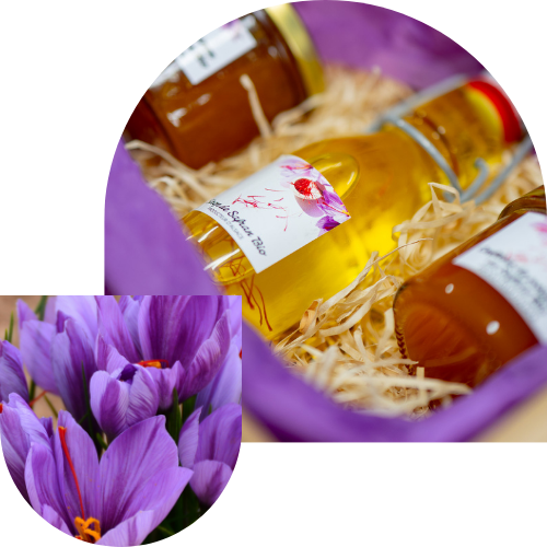 safran bio alsace produits