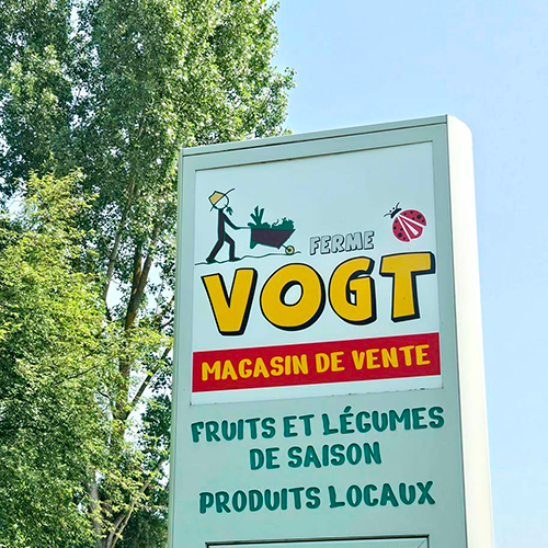 fermevogt gries